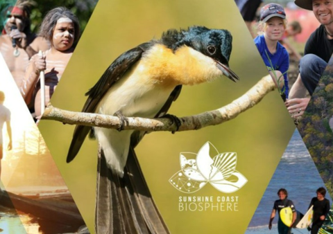 Our Sunshine Coast Biosphere Photography Showcase