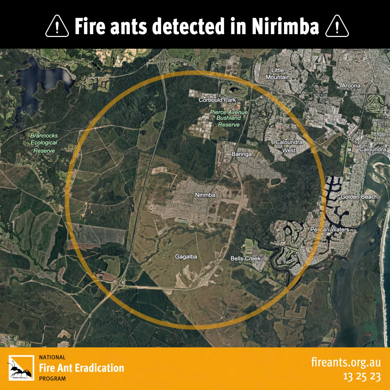 DAF Fire ants detected with map of Nirimba. Image credit: Department of Agriculture and Fisheries, Queensland Government. Used with permission